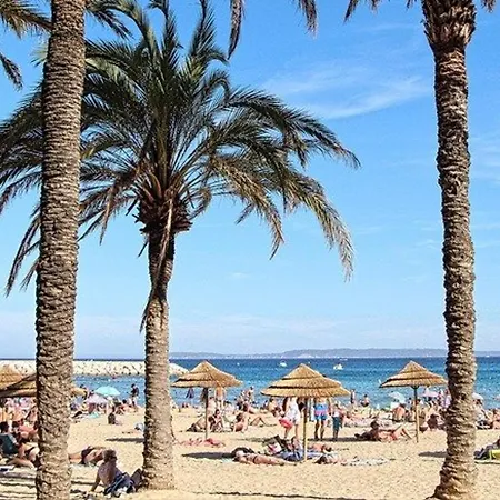 2 Pieces Vue Mer, Acces Plage, Parking - - Fr-1-251-708 Apartment